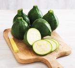 COURGETTE RONDE