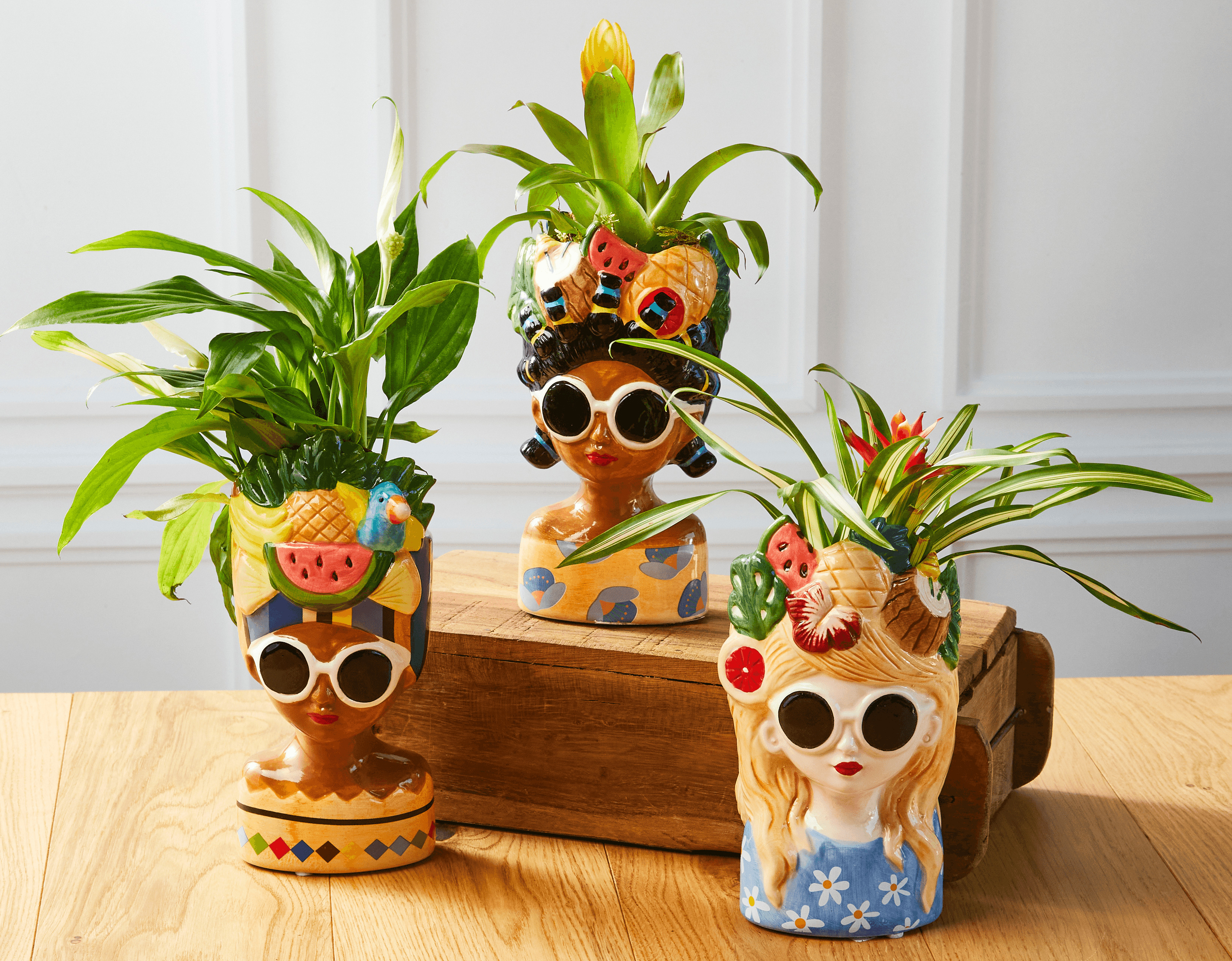 MIXTE SPATHIPHYLLUM ET BROMELIA