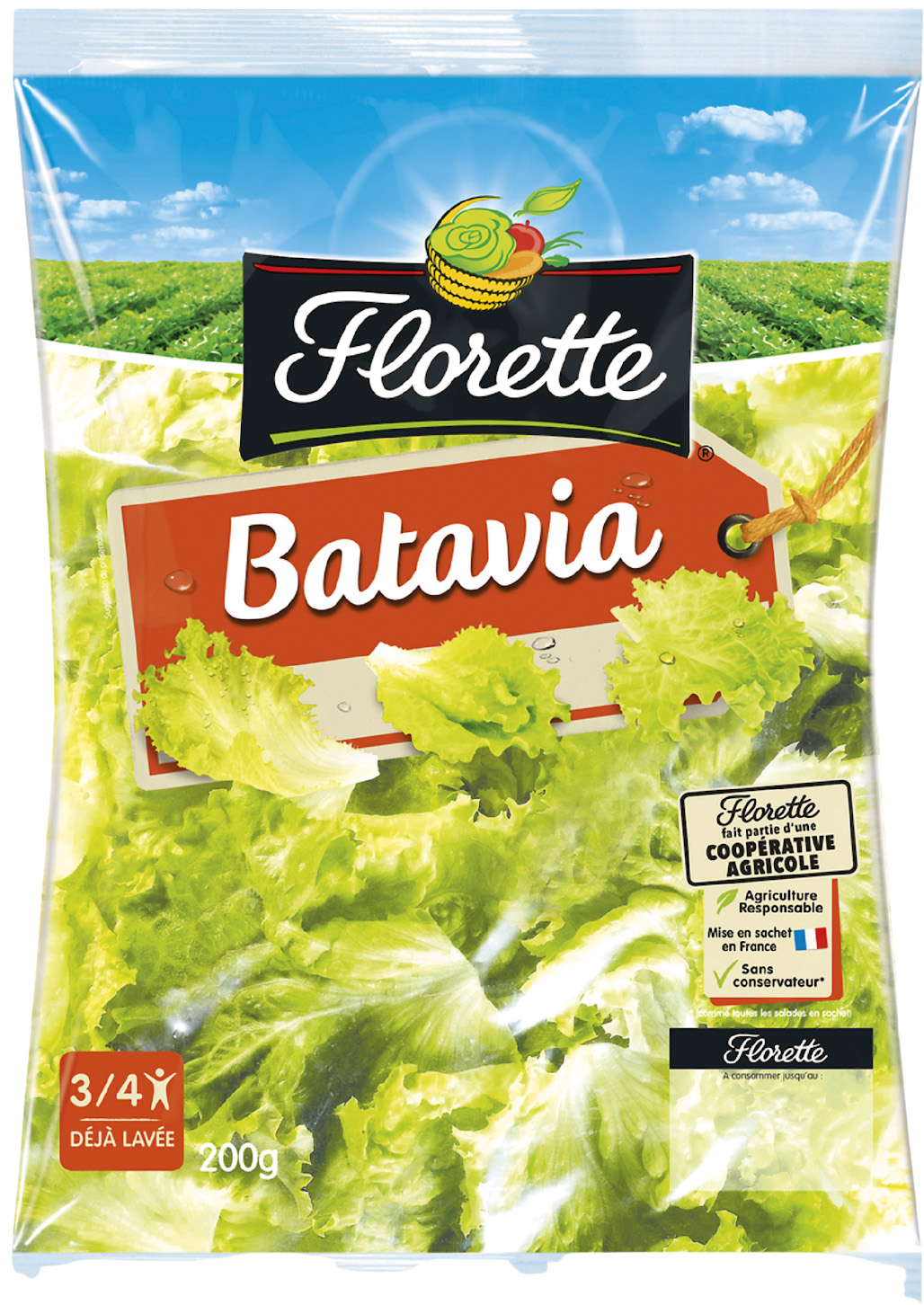 BATAVIA FLORETTE