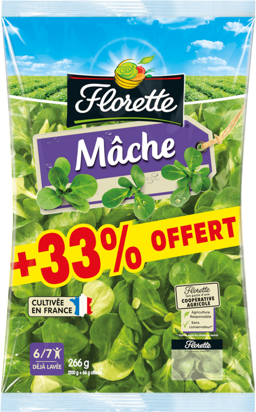 MACHE FLORETTE
