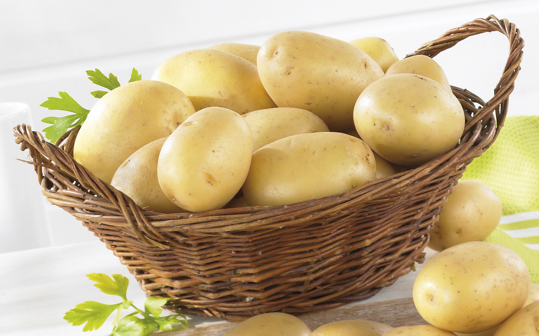 POMME DE TERRE DE CONSOMMATION A CHAIR FERME