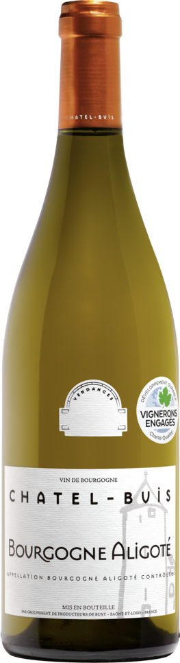 BOURGOGNE ALIGOTÉ AOP BLANC CHATEL BUIS 2023