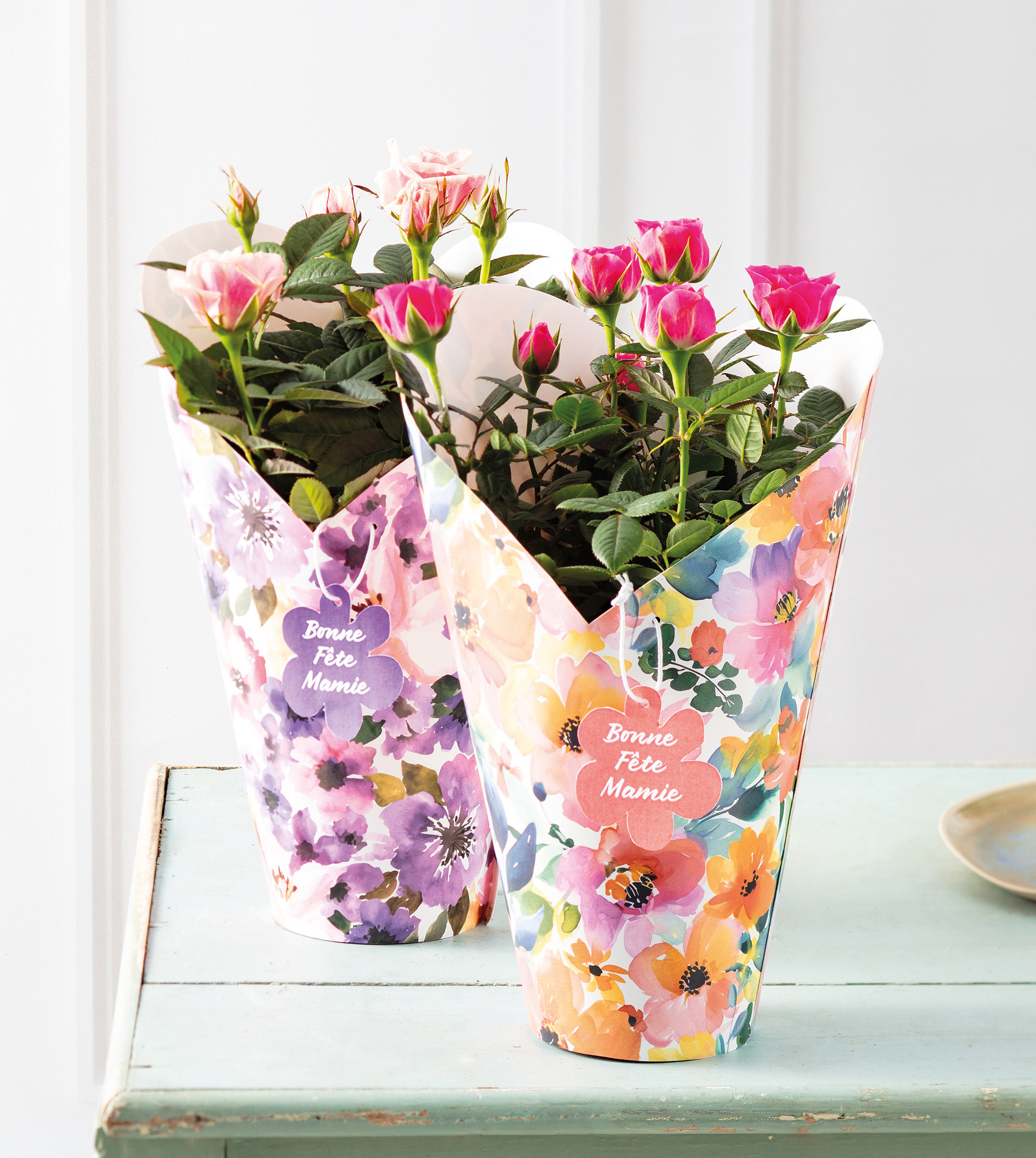 MIXTE PLANTES FLEURIES