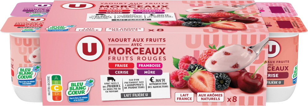 YAOURTS AUX FRUITS AVEC MORCEAUX U
