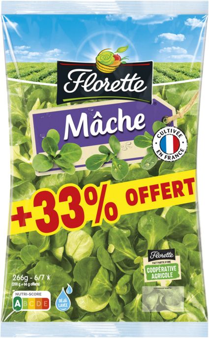 MACHE FLORETTE