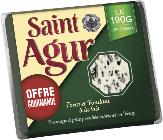 FROMAGE PASTEURISE A PATE PERSILLEE SAINT AGUR