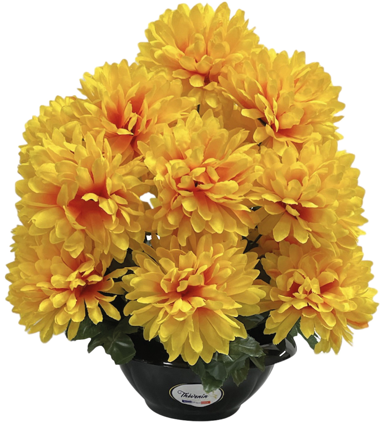 COUPE 16 TETES CHRYSANTHEMES