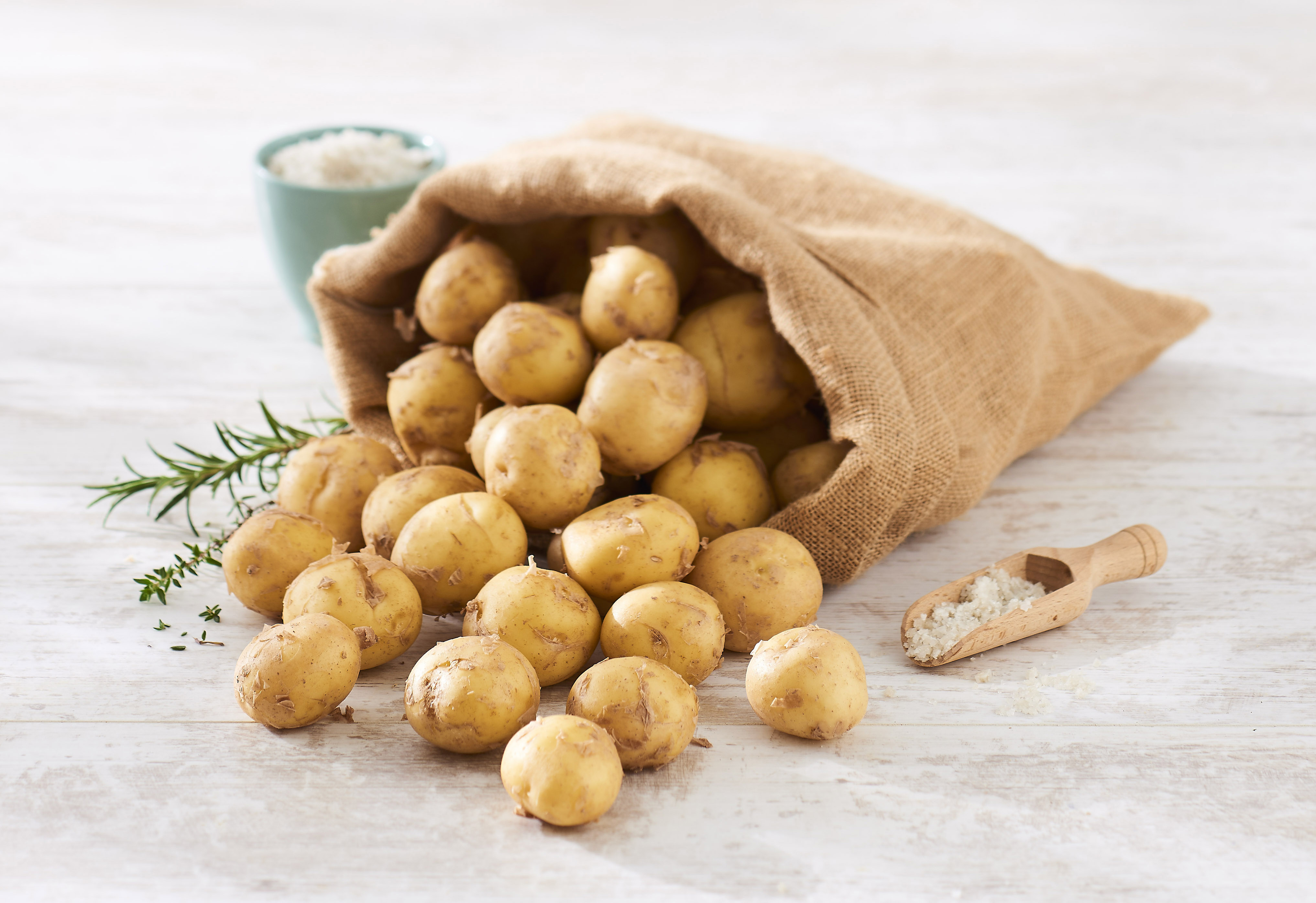 POMME DE TERRE PRIMEUR