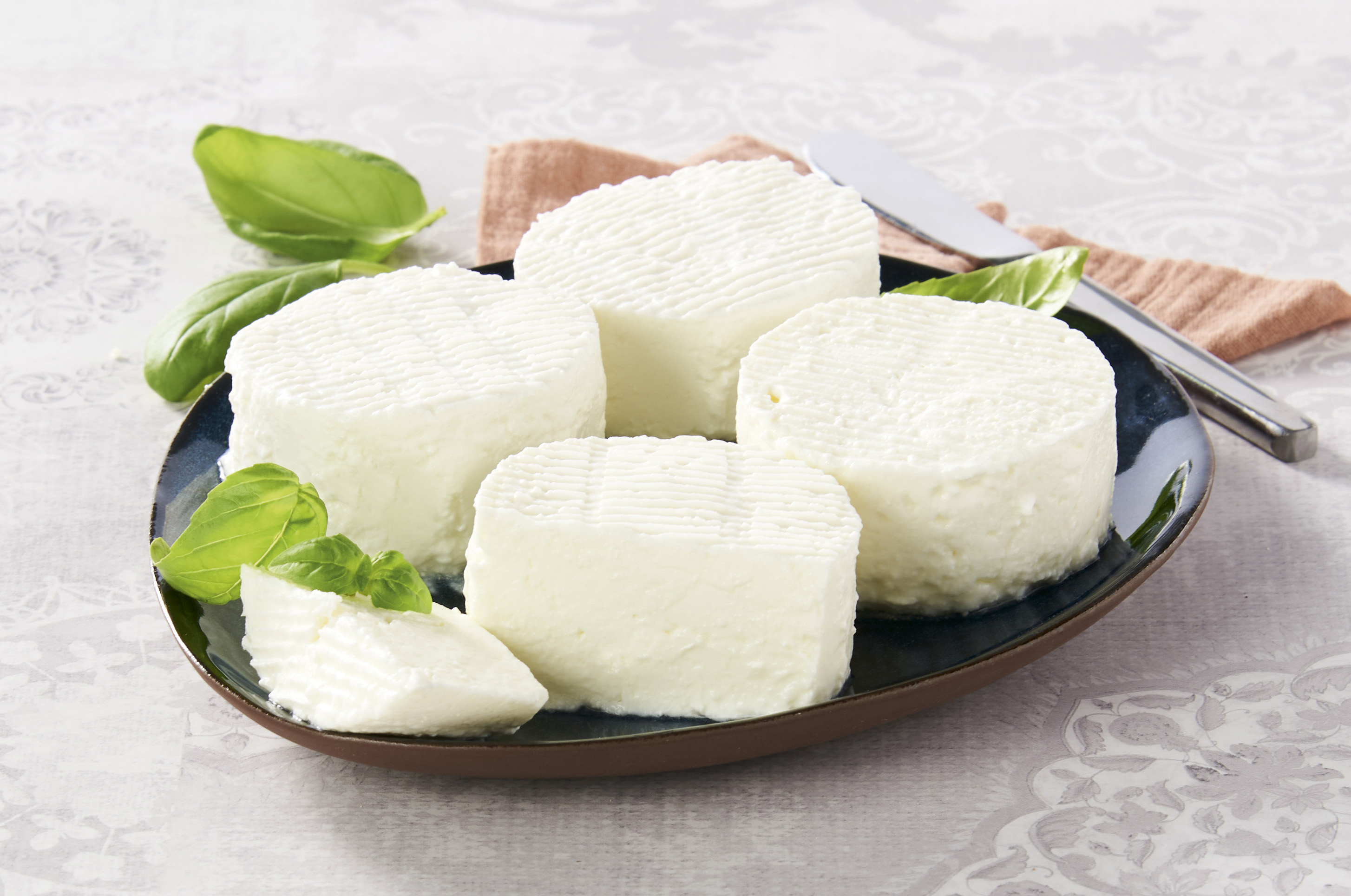 CHÈVRE BLANC DÉLICE DE DIEULEFIT CAVET