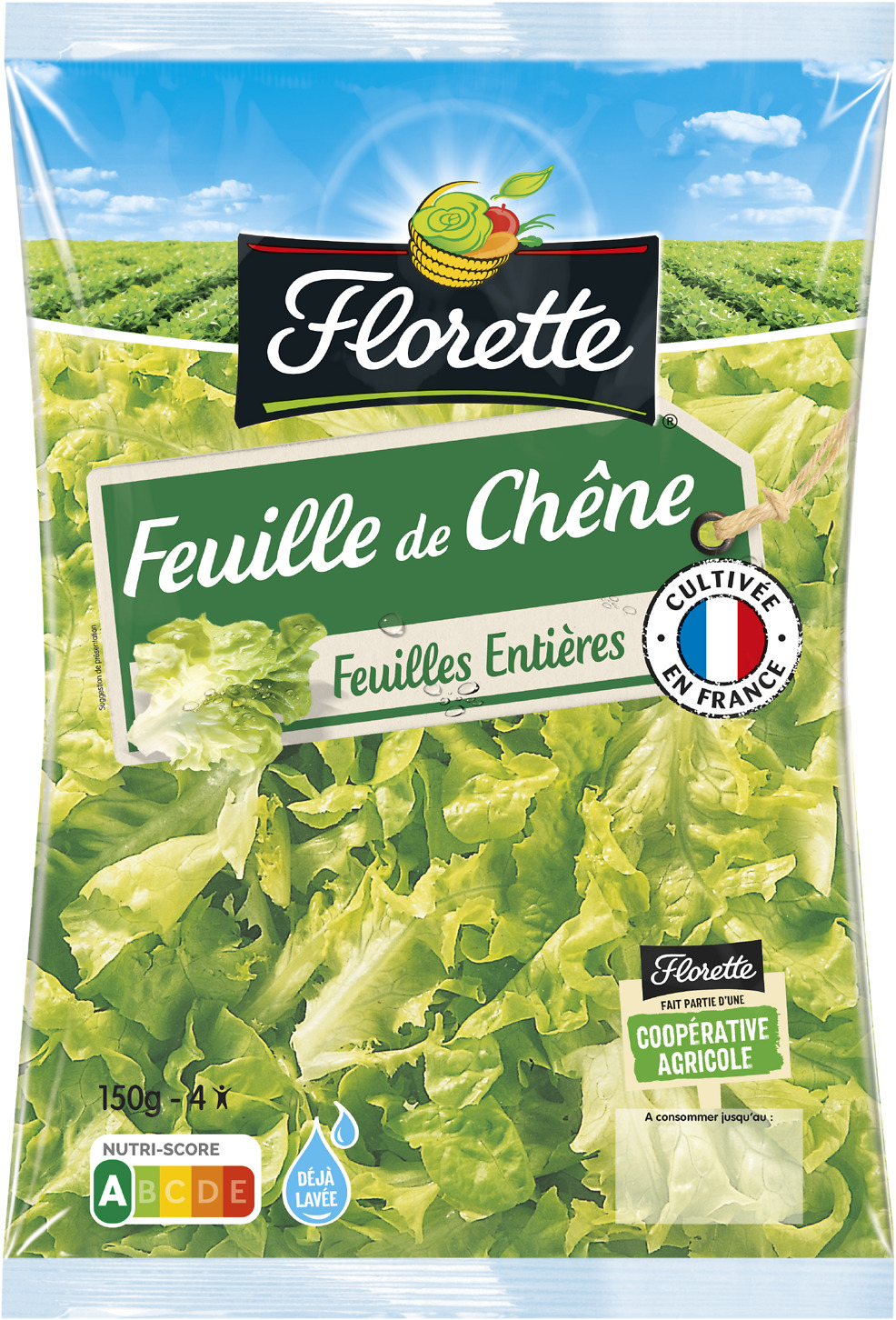 FEUILLE DE CHENE VERTE FLORETTE