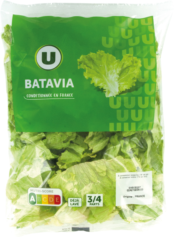 BATAVIA U