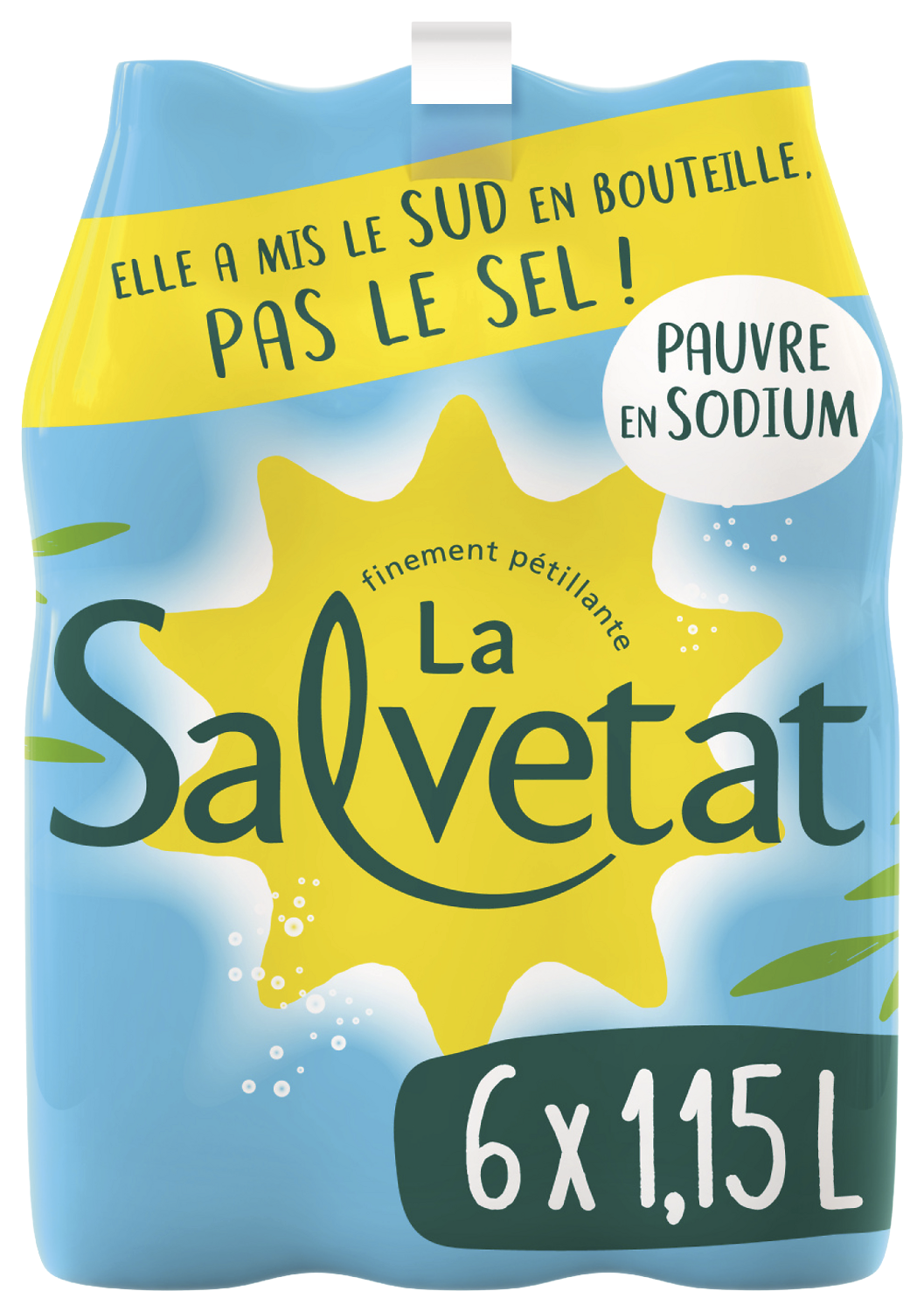 EAU MINERALE NATURELLE GAZEUSE SALVETAT