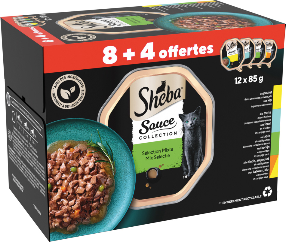 REPAS POUR CHAT SHEBA