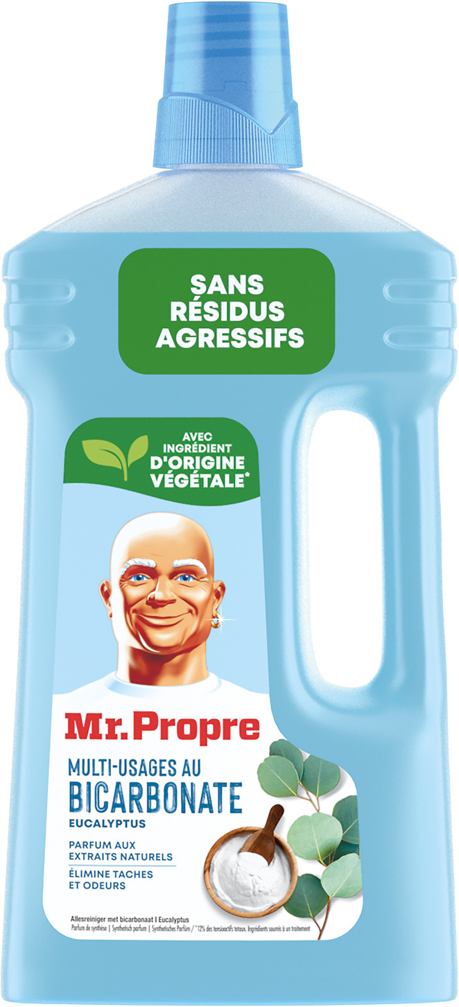 NETTOYANT MULTI-USAGES MR PROPRE