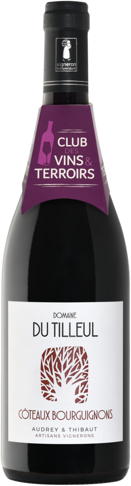 COTEAUX BOURGUIGNONS AOP ROUGE DOMAINE DU TILLEUL 2024
