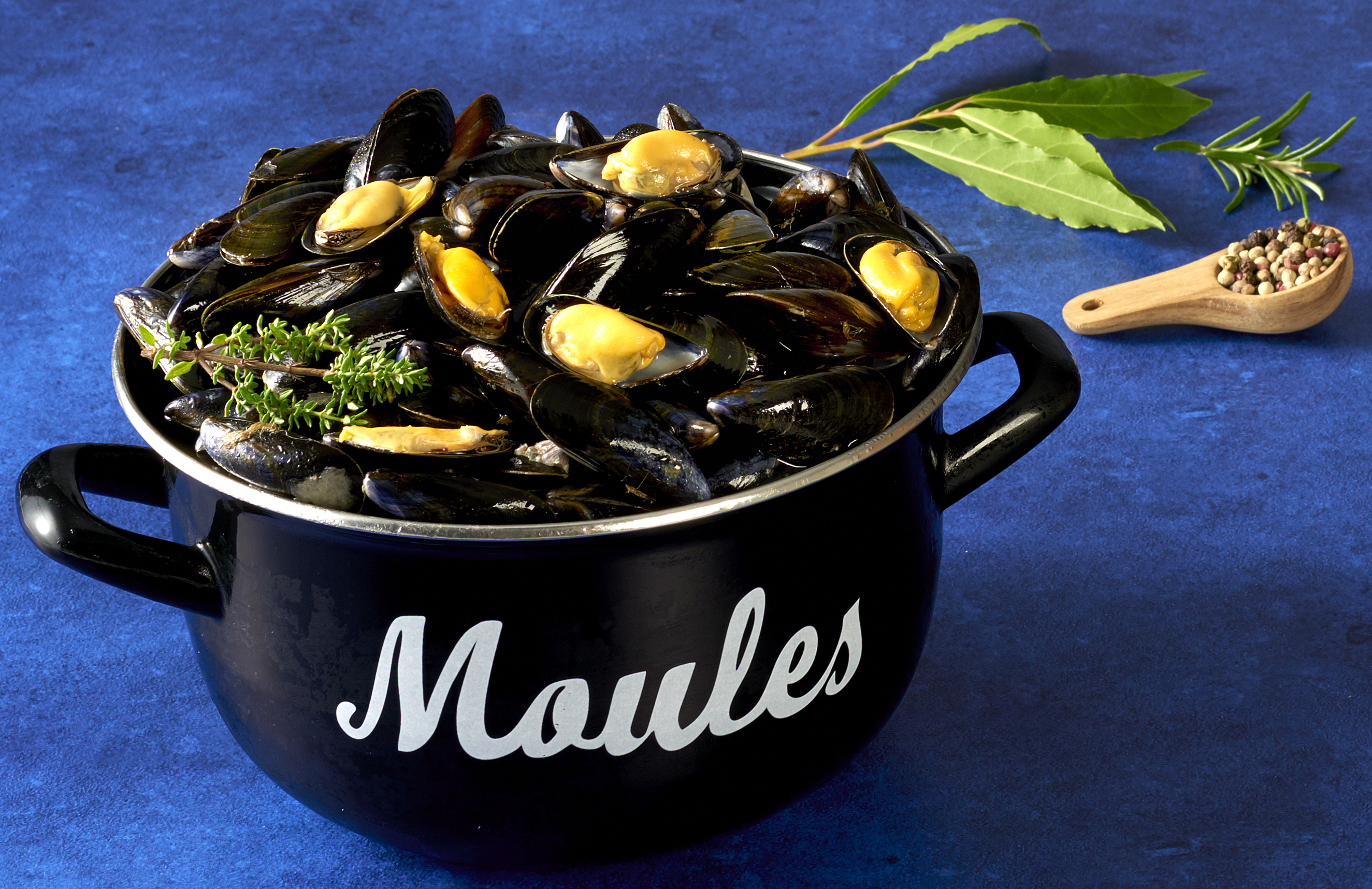 MOULES DE BOUCHOT STG U