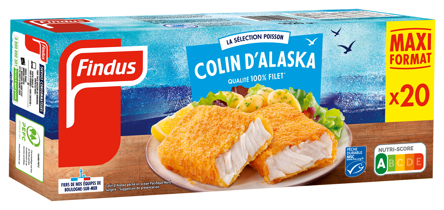 PANES DE COLIN D'ALASKA SURGELES FINDUS