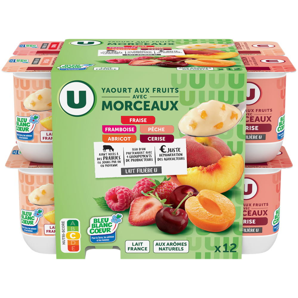 YAOURTS AUX FRUITS AVEC MORCEAUX U