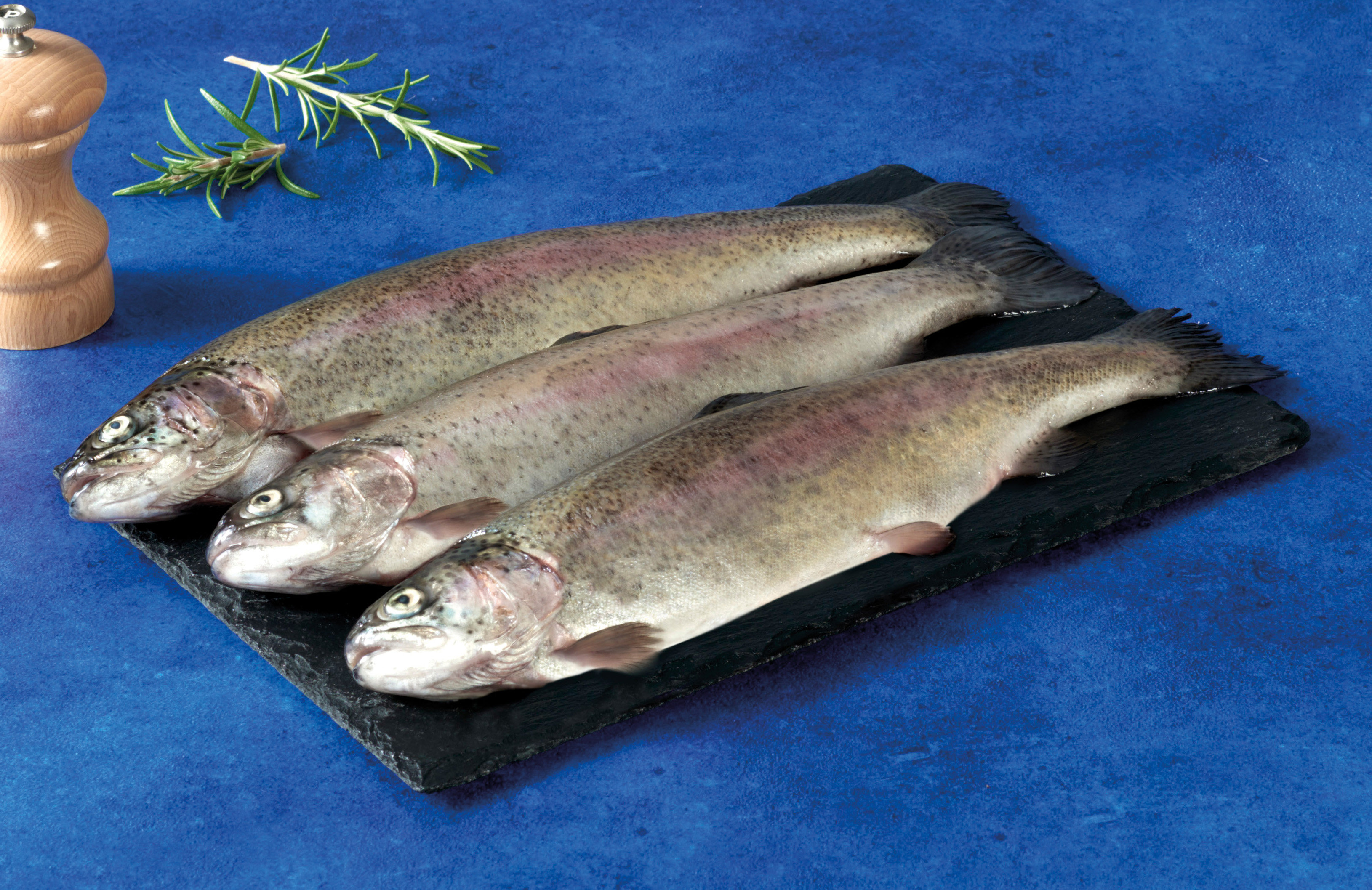 TRUITE PORTION FILIERE U