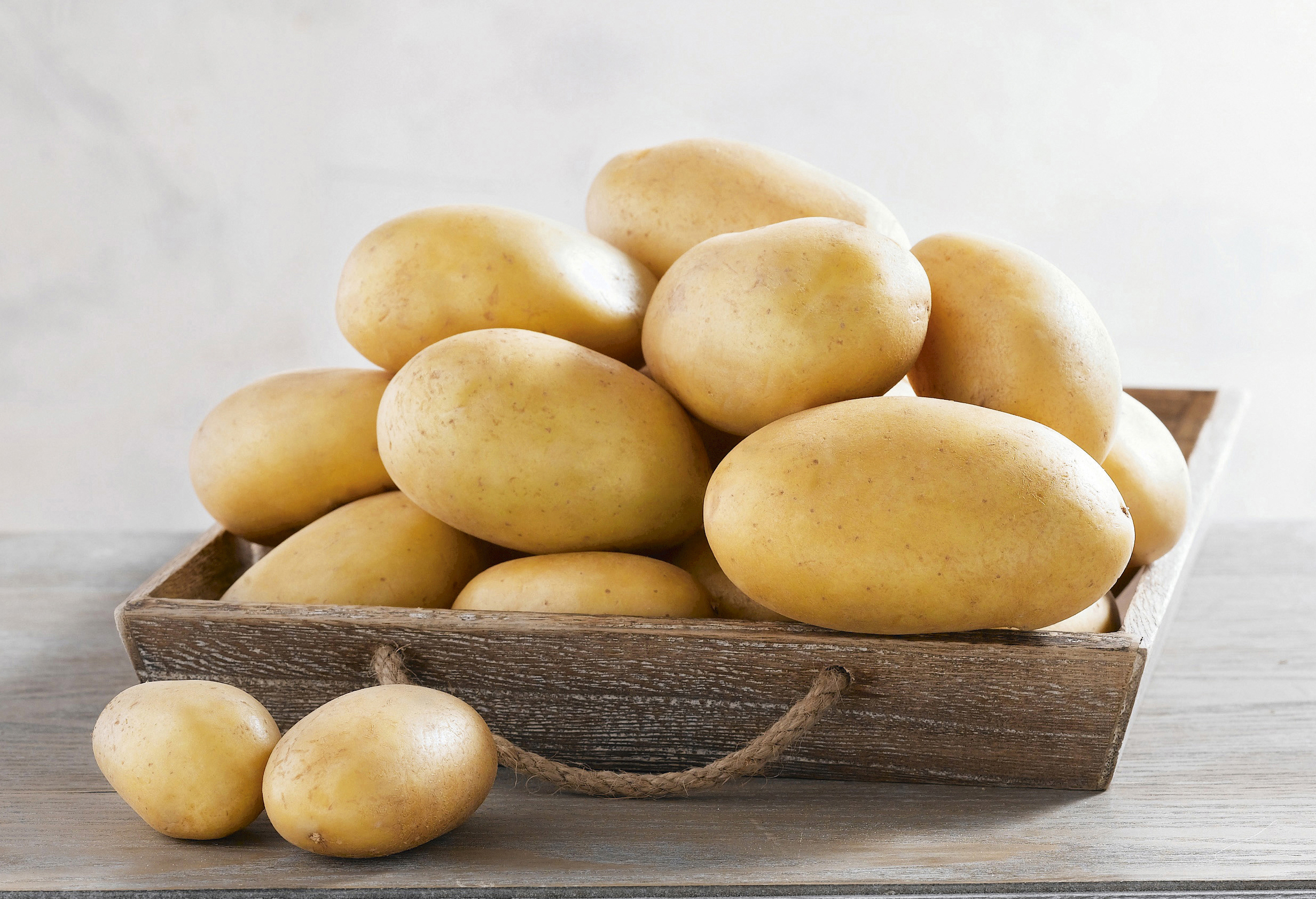 POMME DE TERRE DE CONSOMMATION A CHAIR FERME U