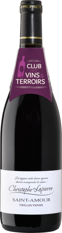 SAINT-AMOUR AOP ROUGE CHRISTOPHE LAPIERRE 2024
