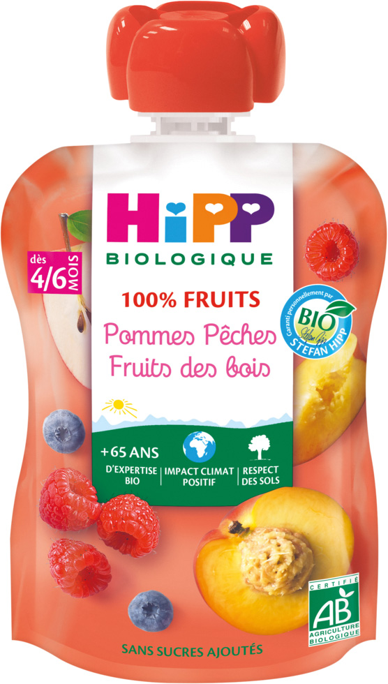 GOURDE 100% FRUITS BIO DES 4/6 MOIS HIPP