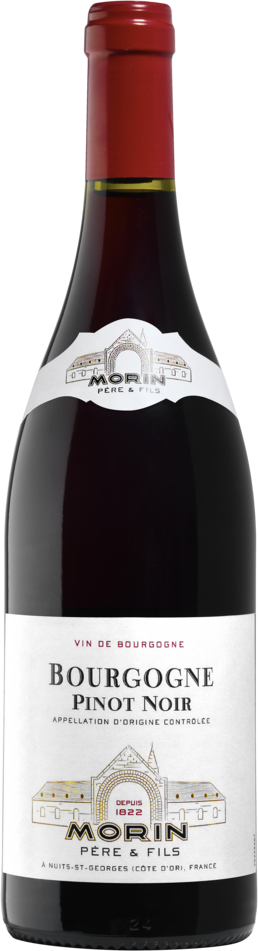 BOURGOGNE PINOT NOIR AOP ROUGE MORIN PÈRE & FILS 2023
