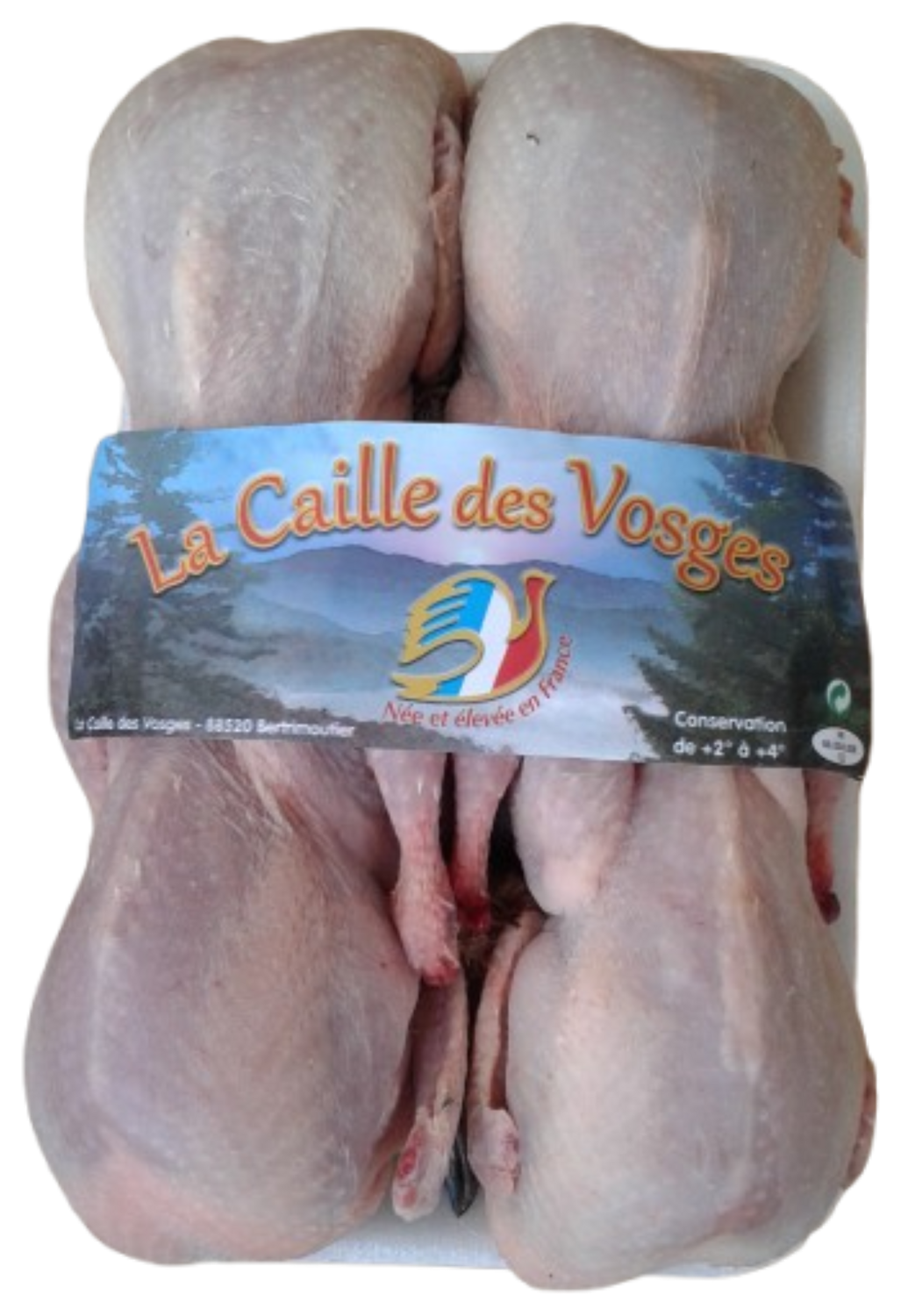 CAILLE PRETE A CUIRE LA CAILLE DES VOSGES