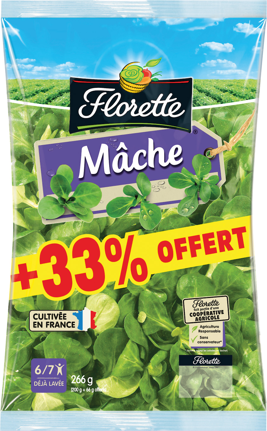 MAXI MACHE FLORETTE