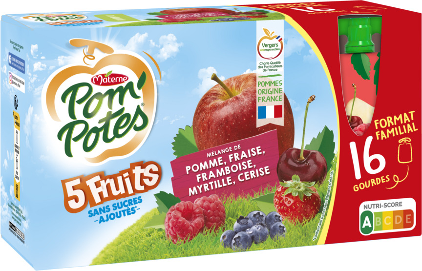 POM'POTES 5 FRUITS SANS SUCRES AJOUTES MATERNE