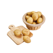 POMME DE TERRE NOUVELLE RECOLTE