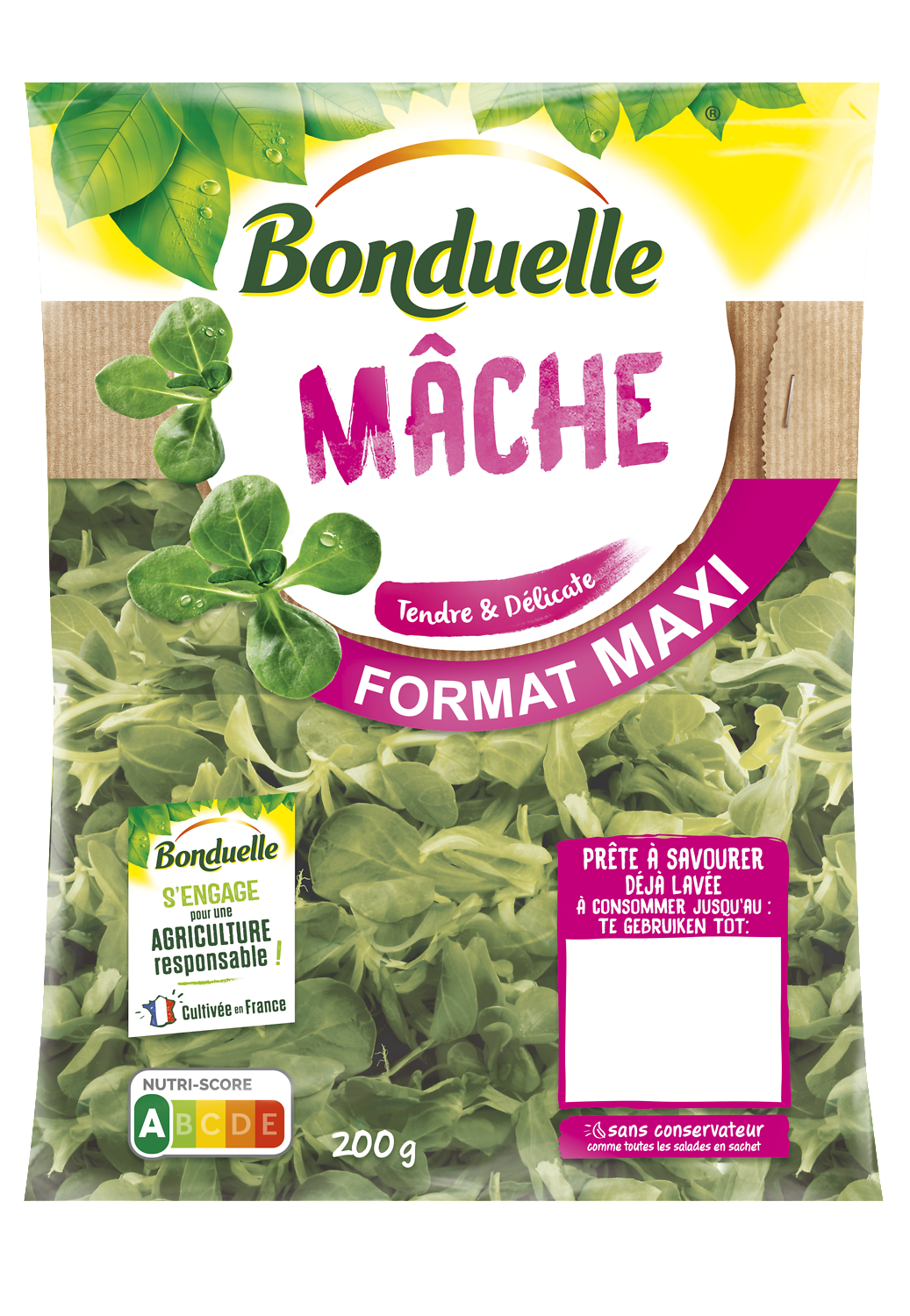 SALADE BONDUELLE