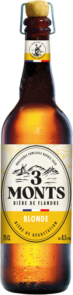BIERE BLONDE 3 MONTS 8,5°