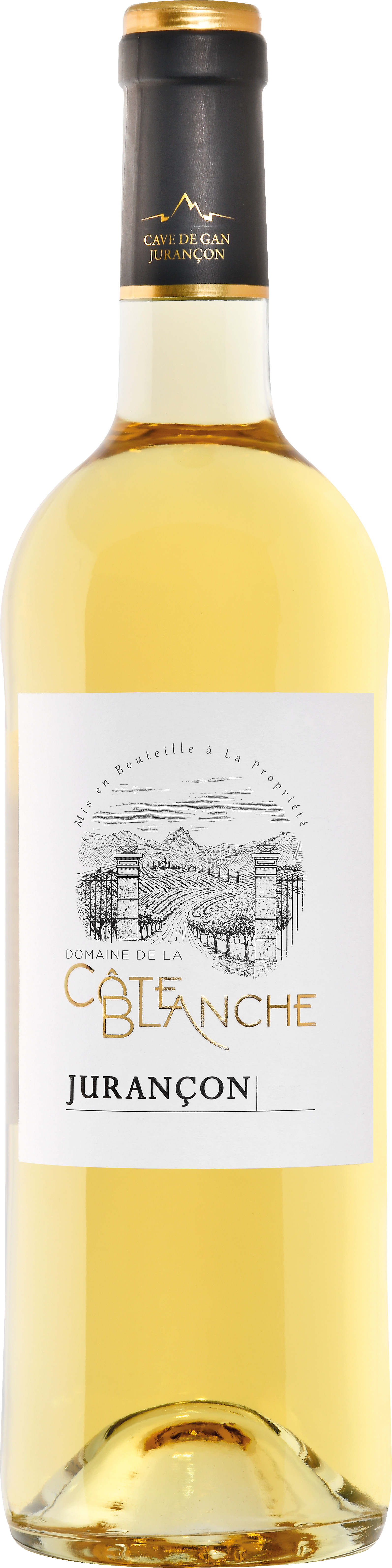 JURANÇON AOP BLANC MOELLEUX DOMAINE DE LA CÔTE BLANCHE 2022