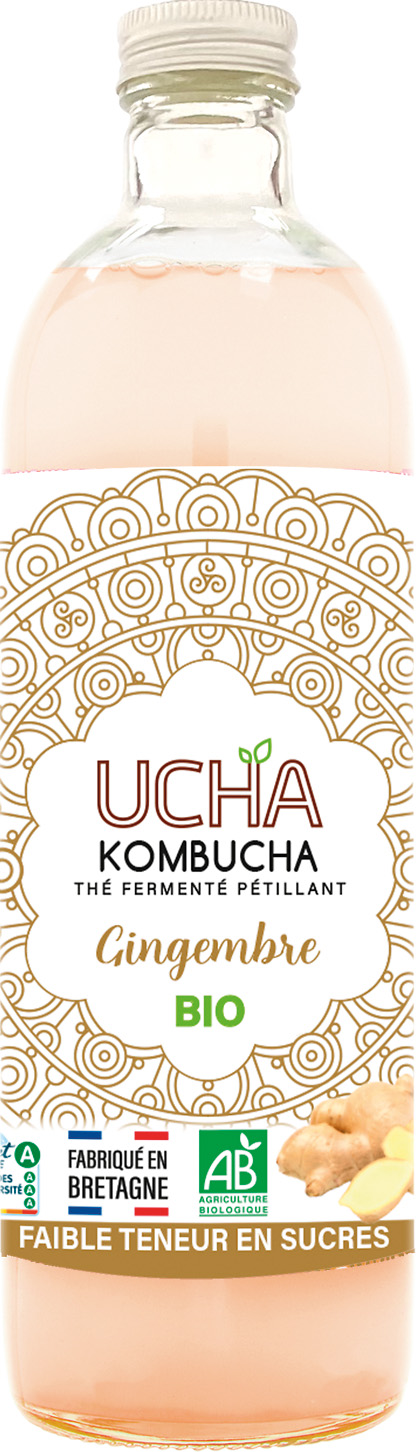 KOMBUCHAS BIO UCHA
