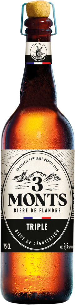 BIERE BLONDE TRIPLE 3 MONTS 9,5°