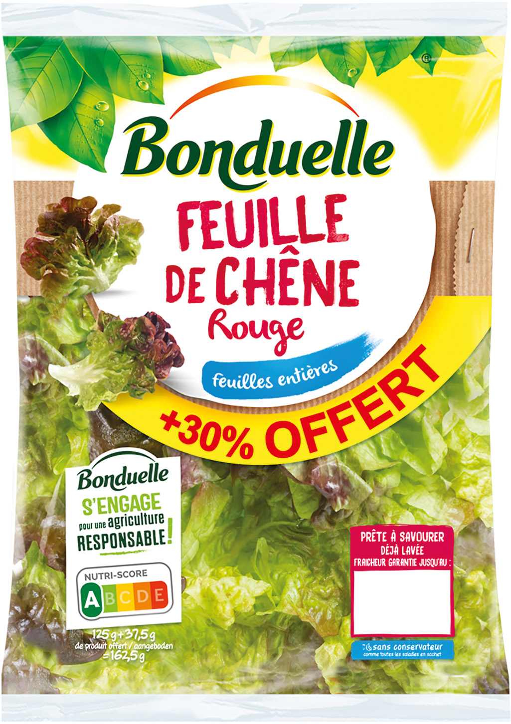 FEUILLE DE CHENE ROUGE BONDUELLE