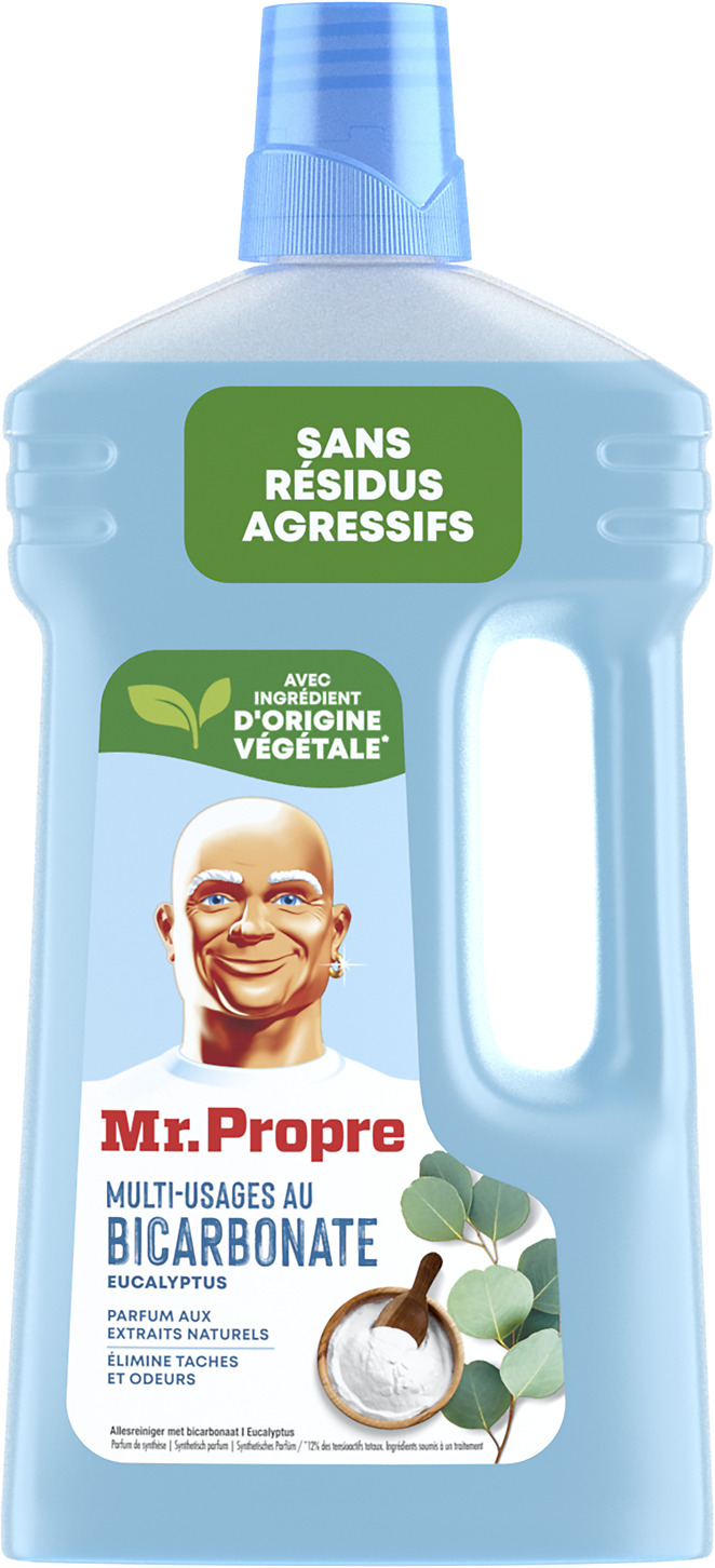 NETTOYANT MULTI-USAGES MR PROPRE