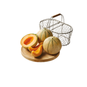 MELON CHARENTAIS JAUNE