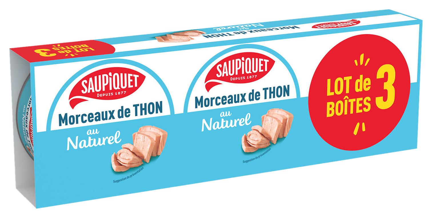 THON EN MORCEAUX SAUPIQUET