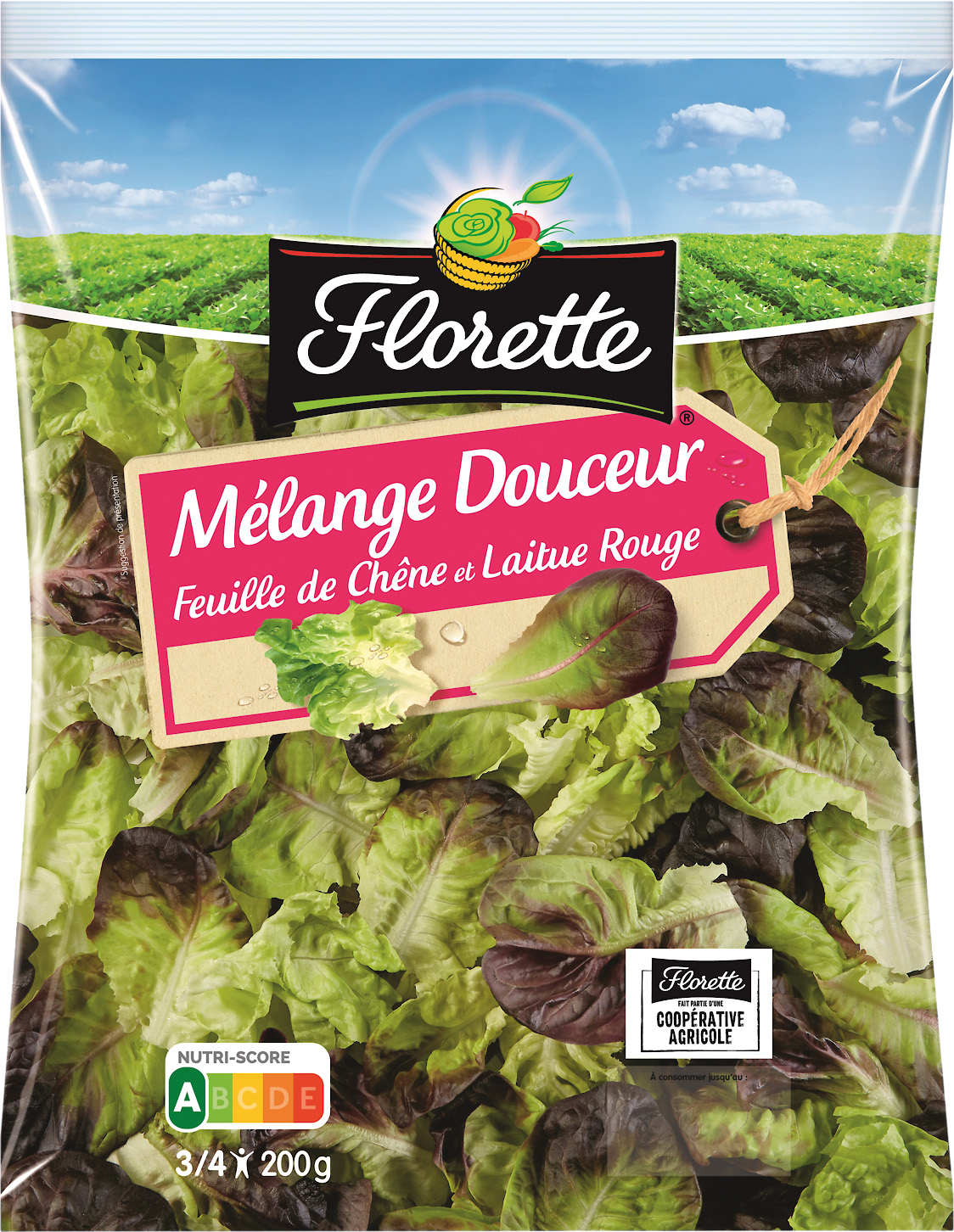 MELANGE DOUCEUR FLORETTE