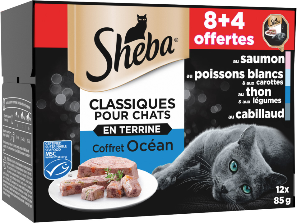 REPAS POUR CHAT SHEBA