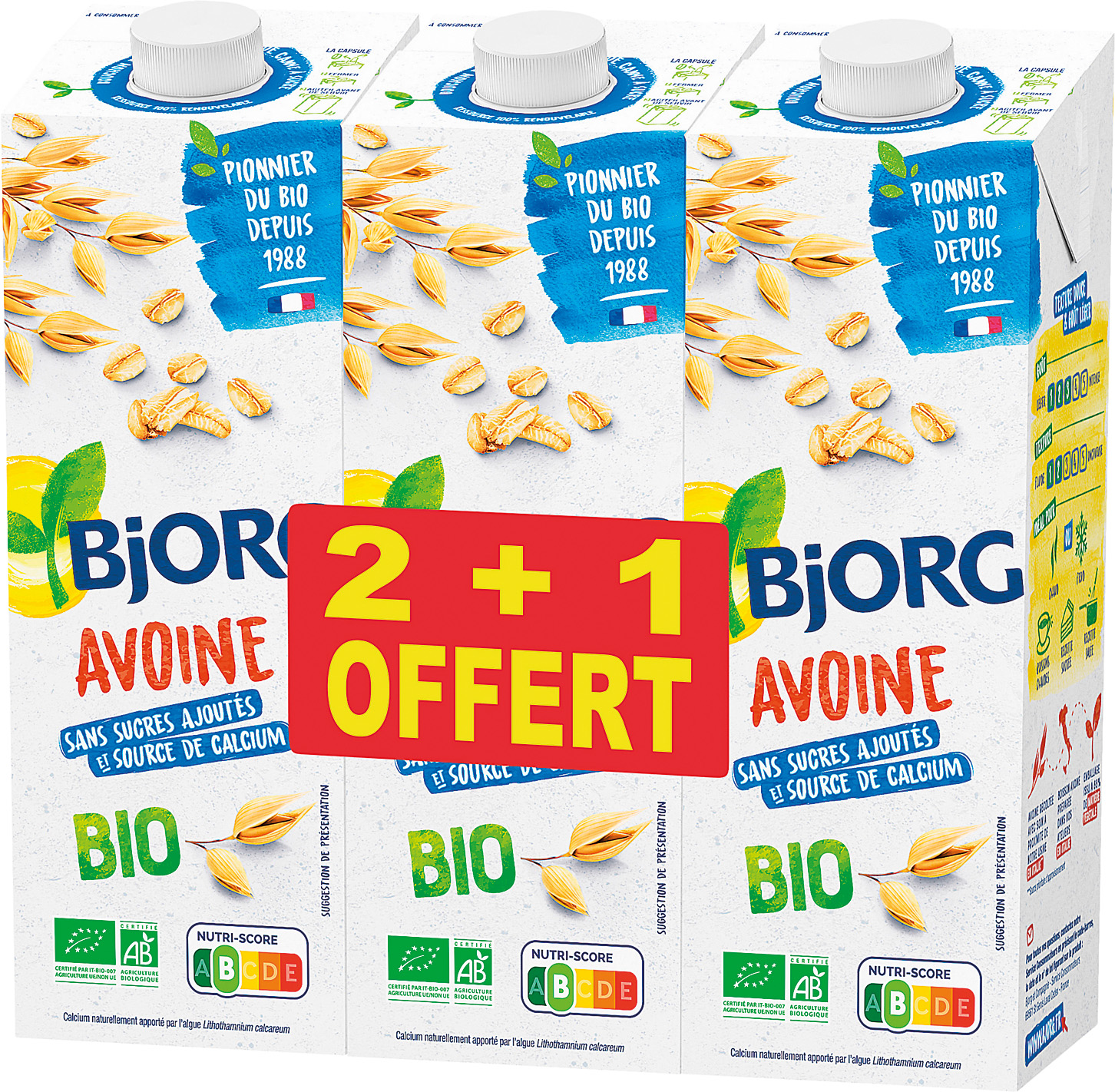 BOISSONS VEGETALES BIO BJORG