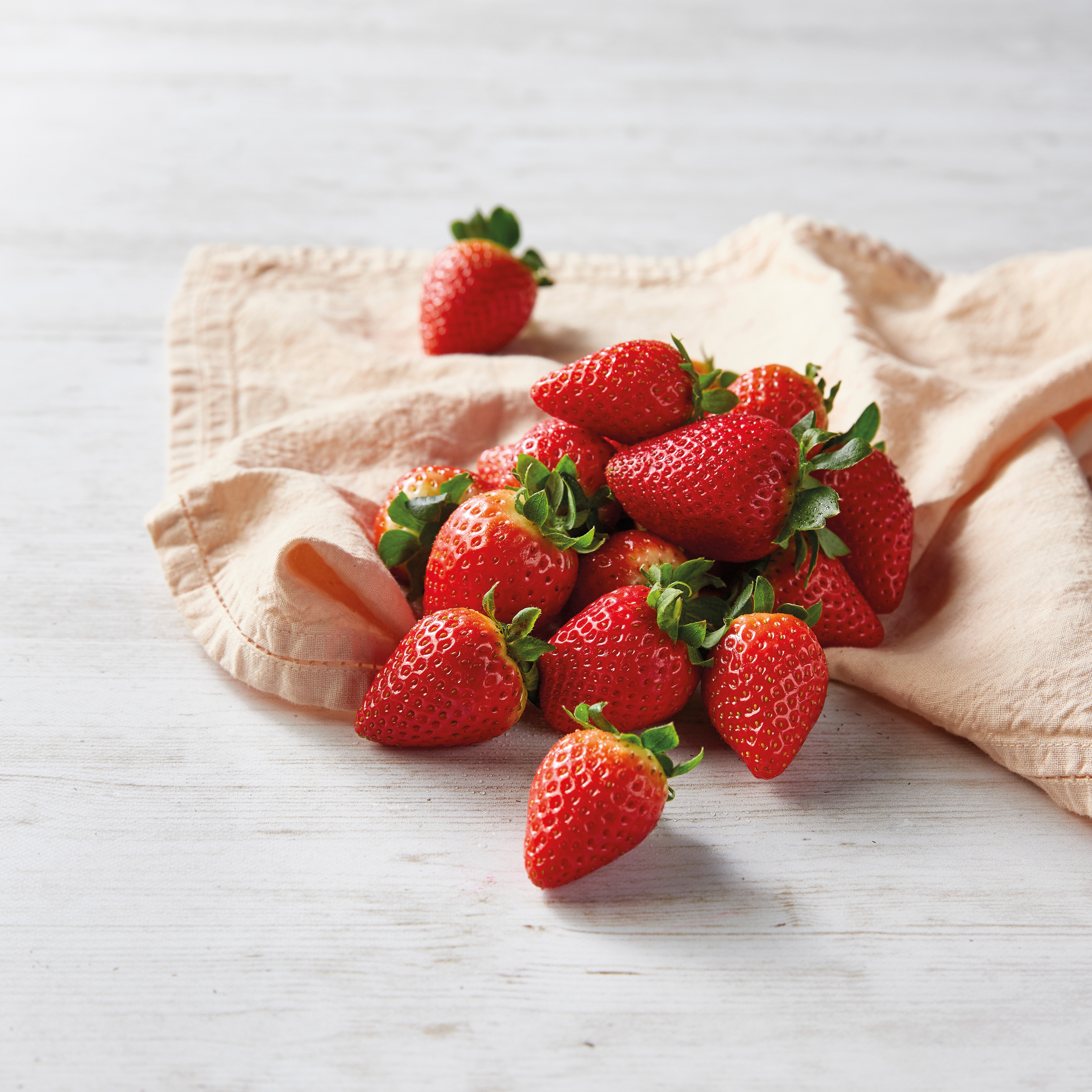 FRAISE RONDE