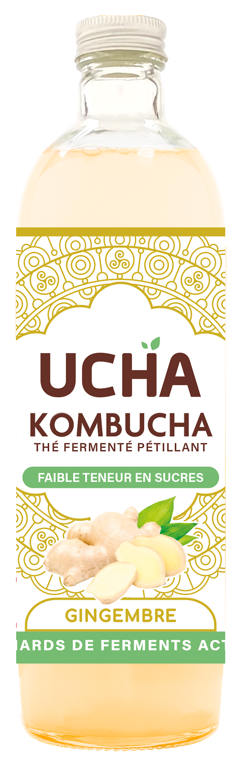 THE FERMENTE PETILLANT KOMBUCHA UCHA